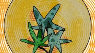 タイの暮らしと一株のハーブ｜ベランダのすみっこ観察日記